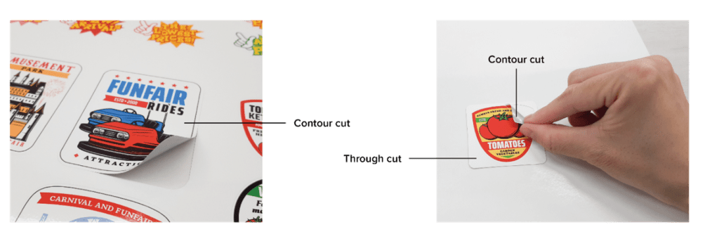 Photo of the contour cut and the through cut that the XpertJet C641SR Pro can do